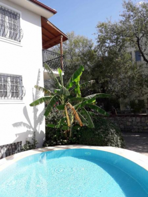 Serene Oasis in Fethiye Villa Lynste Ovacik Turkey